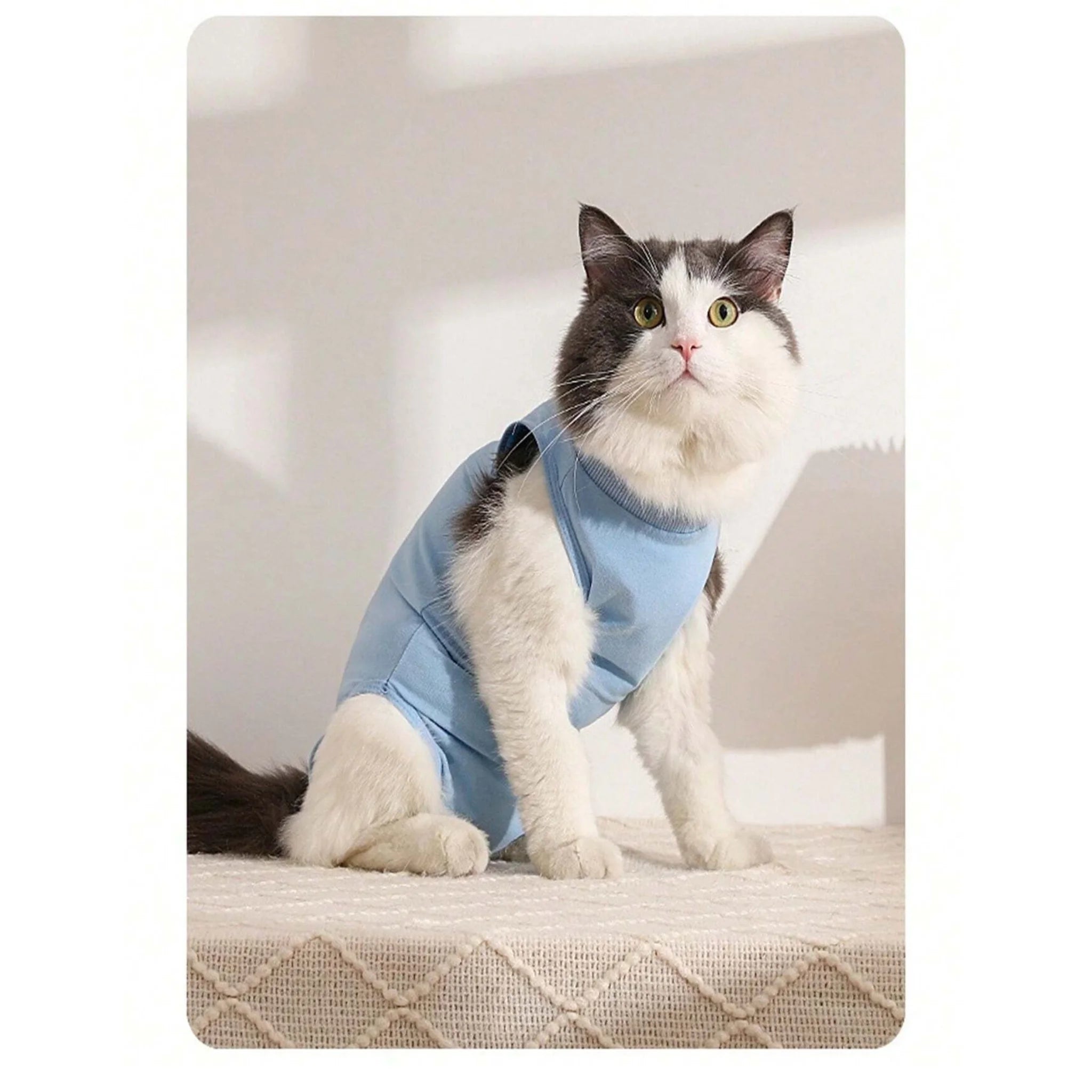 Soft Pet Post-Surgery Recovery Suit - Small - Sky Blue