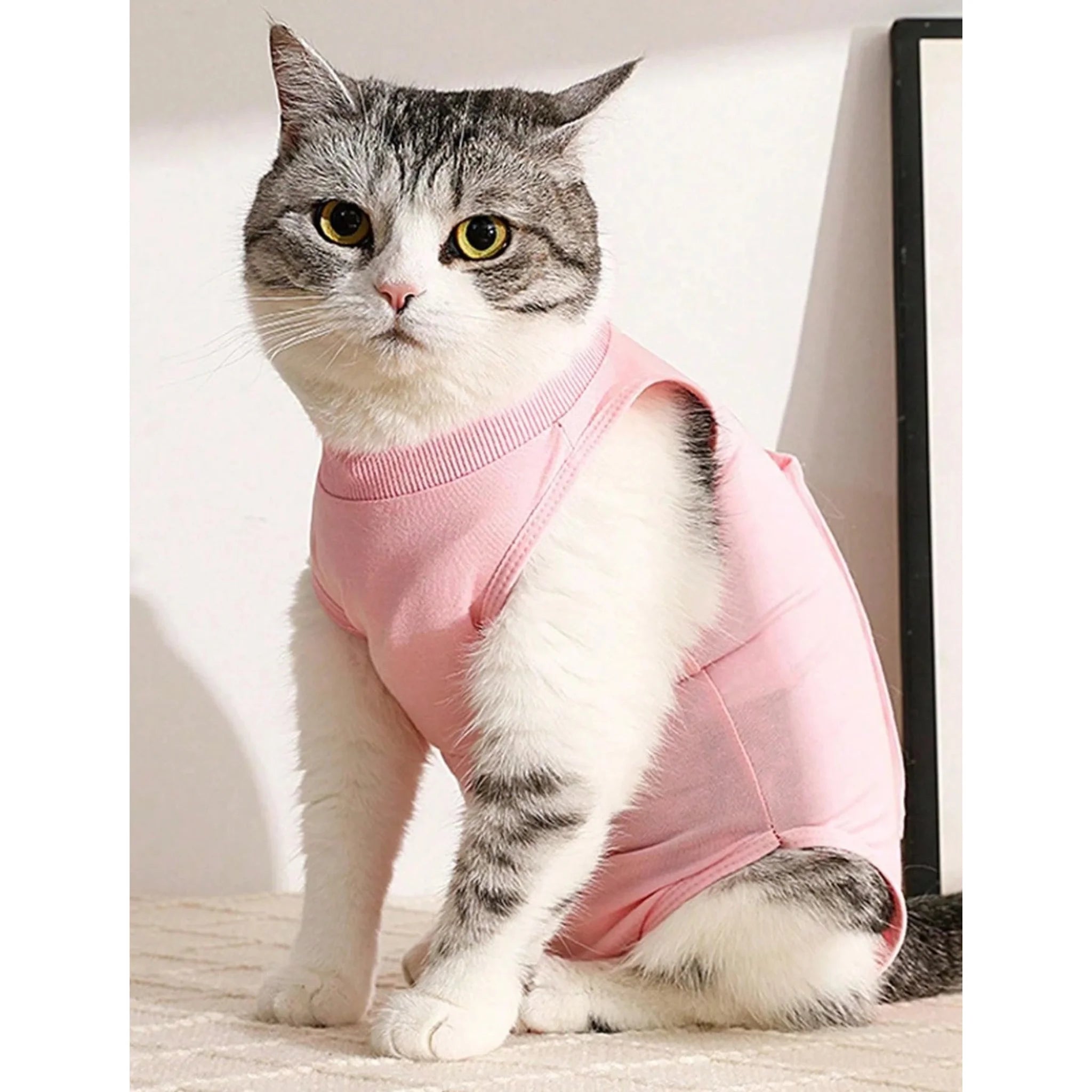 Soft Pet Post-Surgery Recovery Suit - Small - Sky Blue