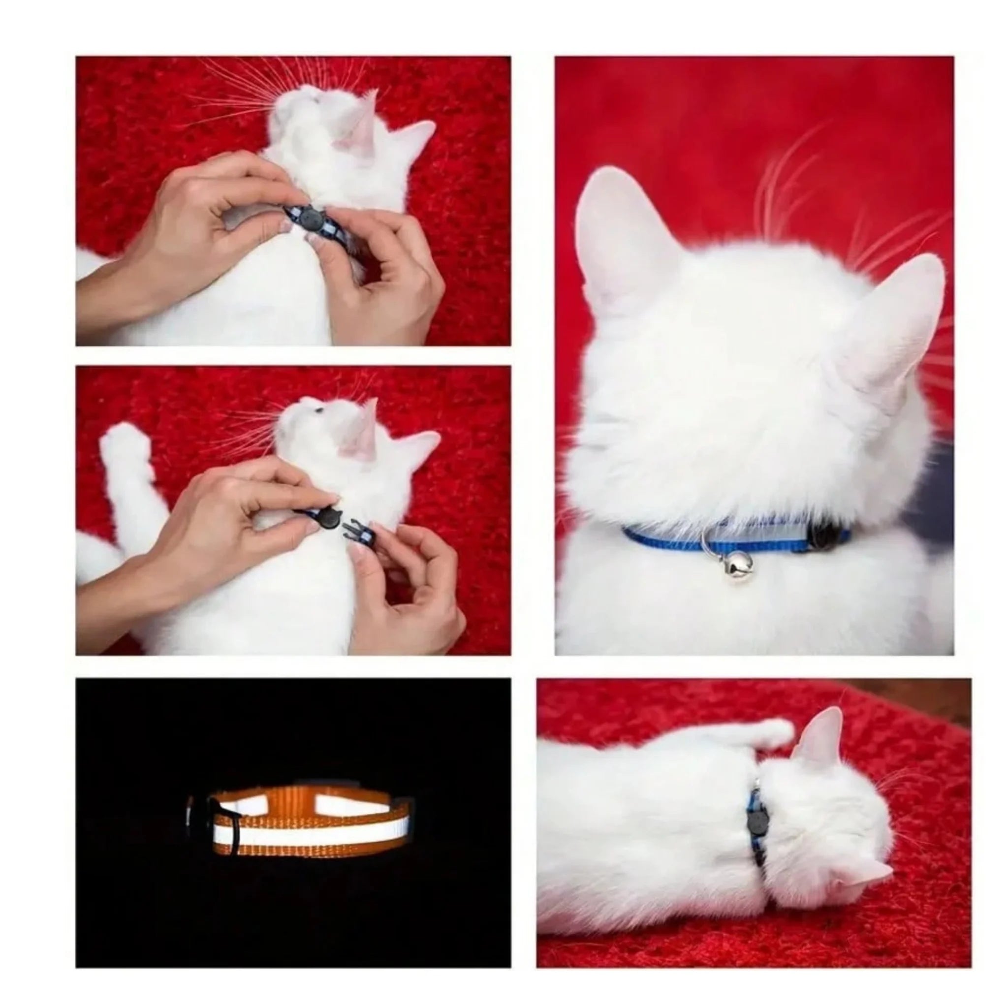 Safety Reflective Breakaway Cat Collar - Emerald Green