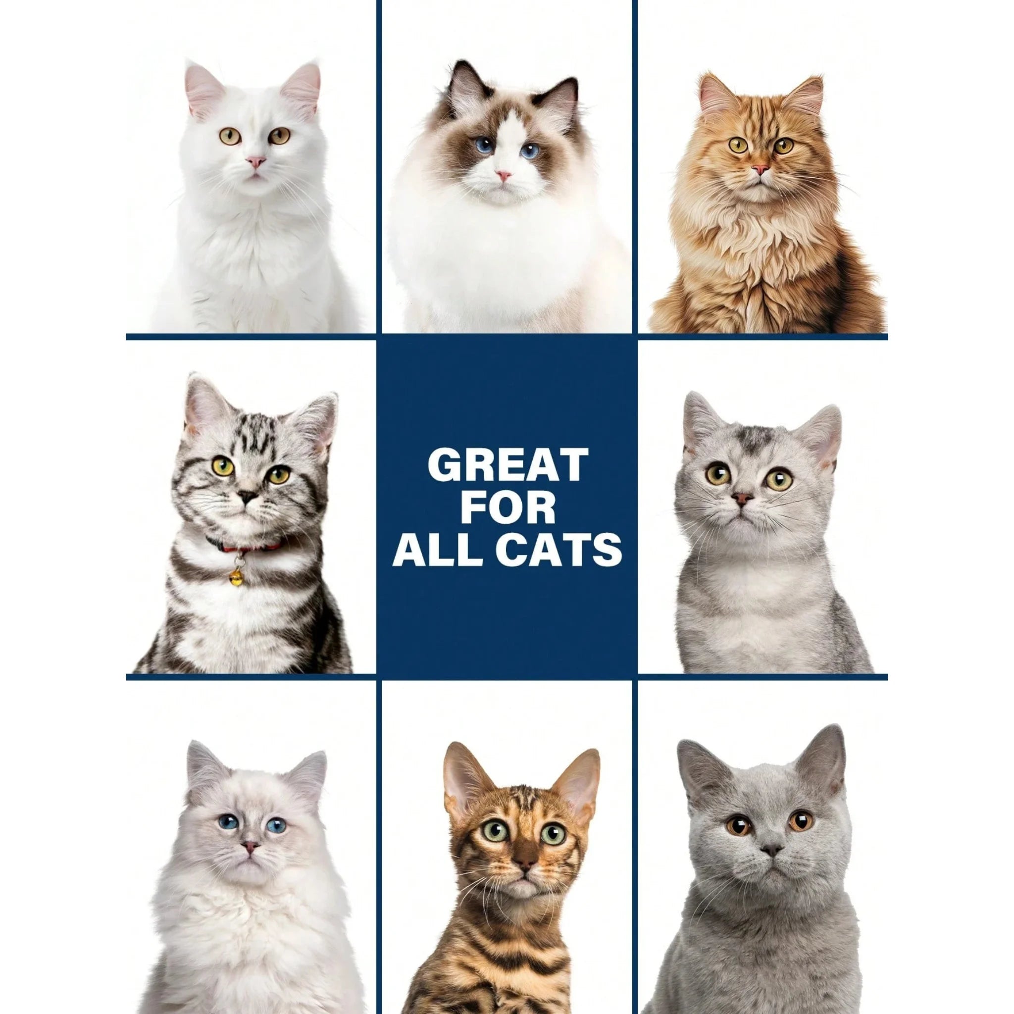 GJYC 2-in-1 Cat Shampoo & Conditioner with Coconut Oil Extract - 3.38 fl. oz.