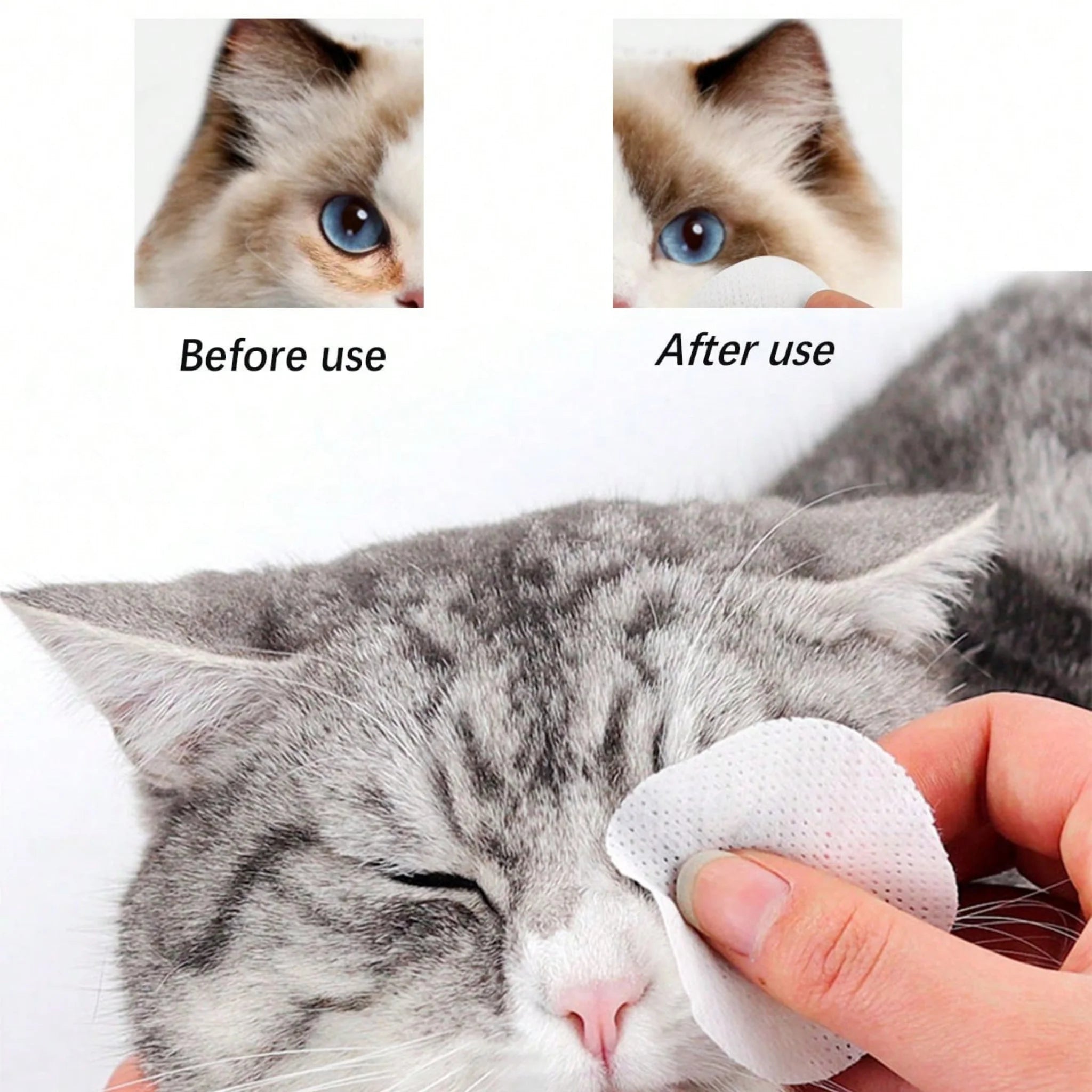 Pet wipes container with a white background