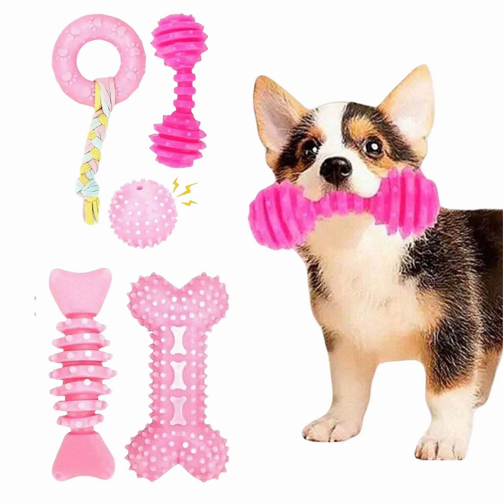 Durable Dog Chew Toy Set - 4 Pieces