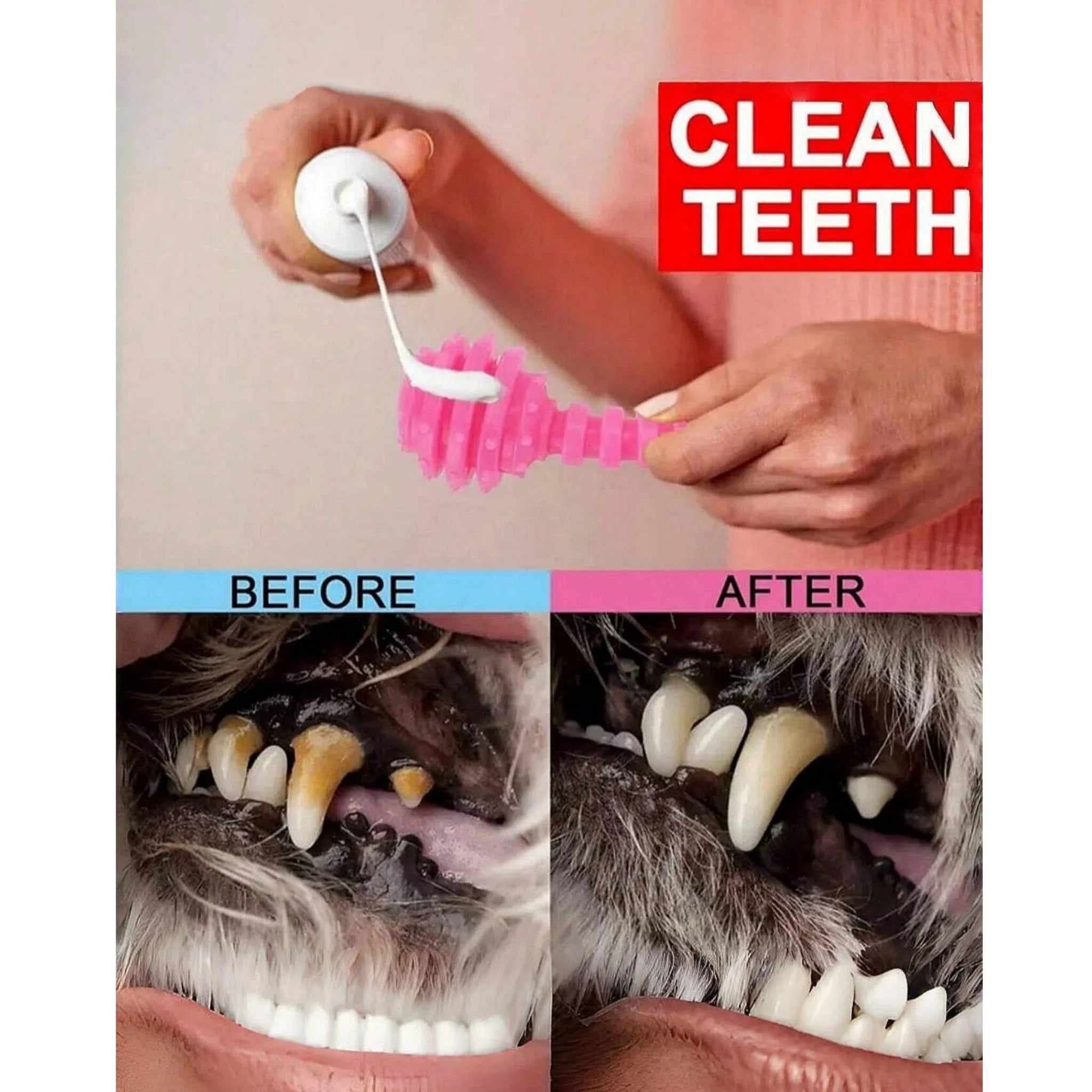 Set of blue dog toys with a puppy holding a bone toy, branded 'any4'.