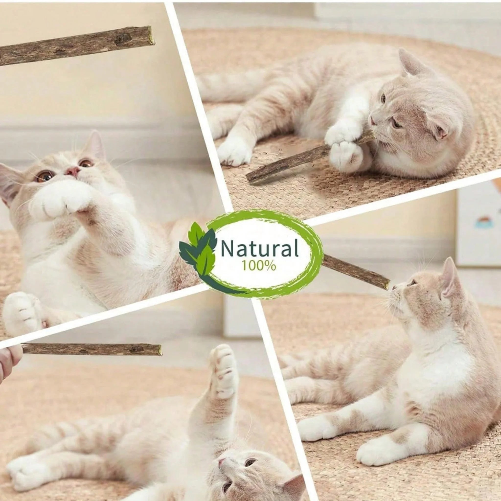 All-Natural 5-Pack Cat Dental Chews & Teeth Cleaning Sticks