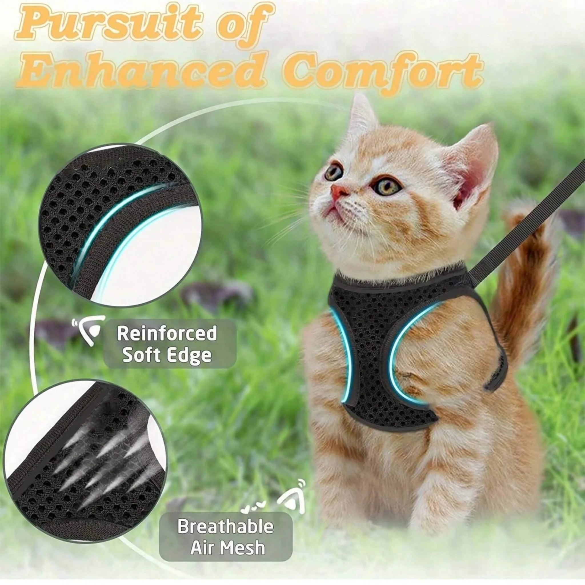 Dog harness with a leash on a white background, Pet product