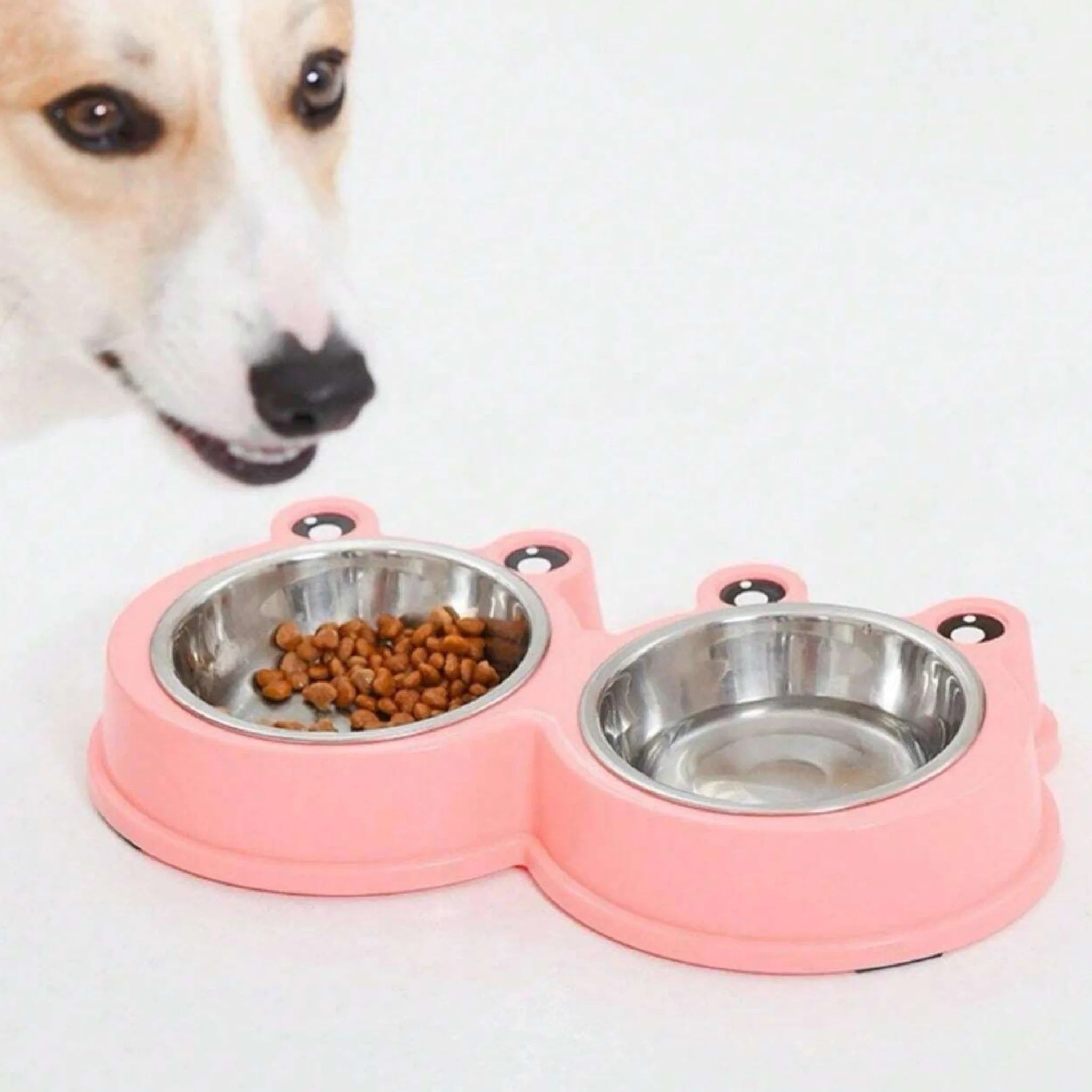 Dual Stainless Steel Pet Feeding & Water Bowls